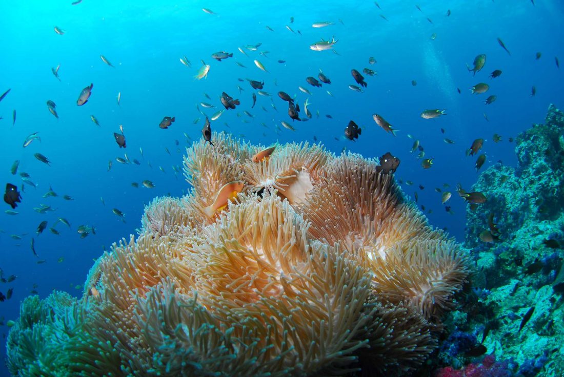 scuba-for-change-fundraising-for-change